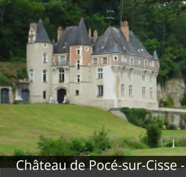 La Maison Aux Iris Poce-sur-Cisse ภายนอก รูปภาพ