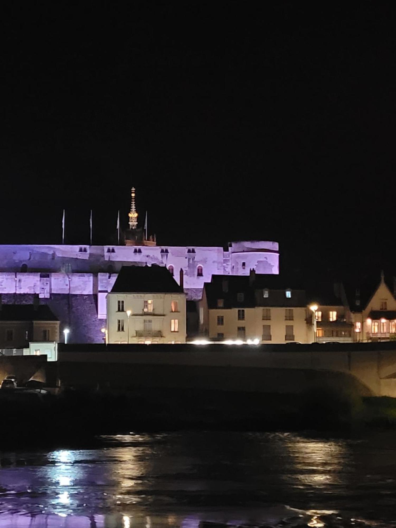 La Maison Aux Iris Poce-sur-Cisse ภายนอก รูปภาพ