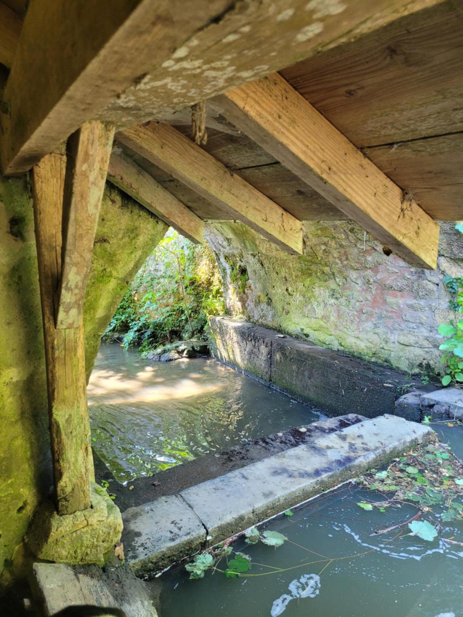 La Maison Aux Iris Poce-sur-Cisse ภายนอก รูปภาพ