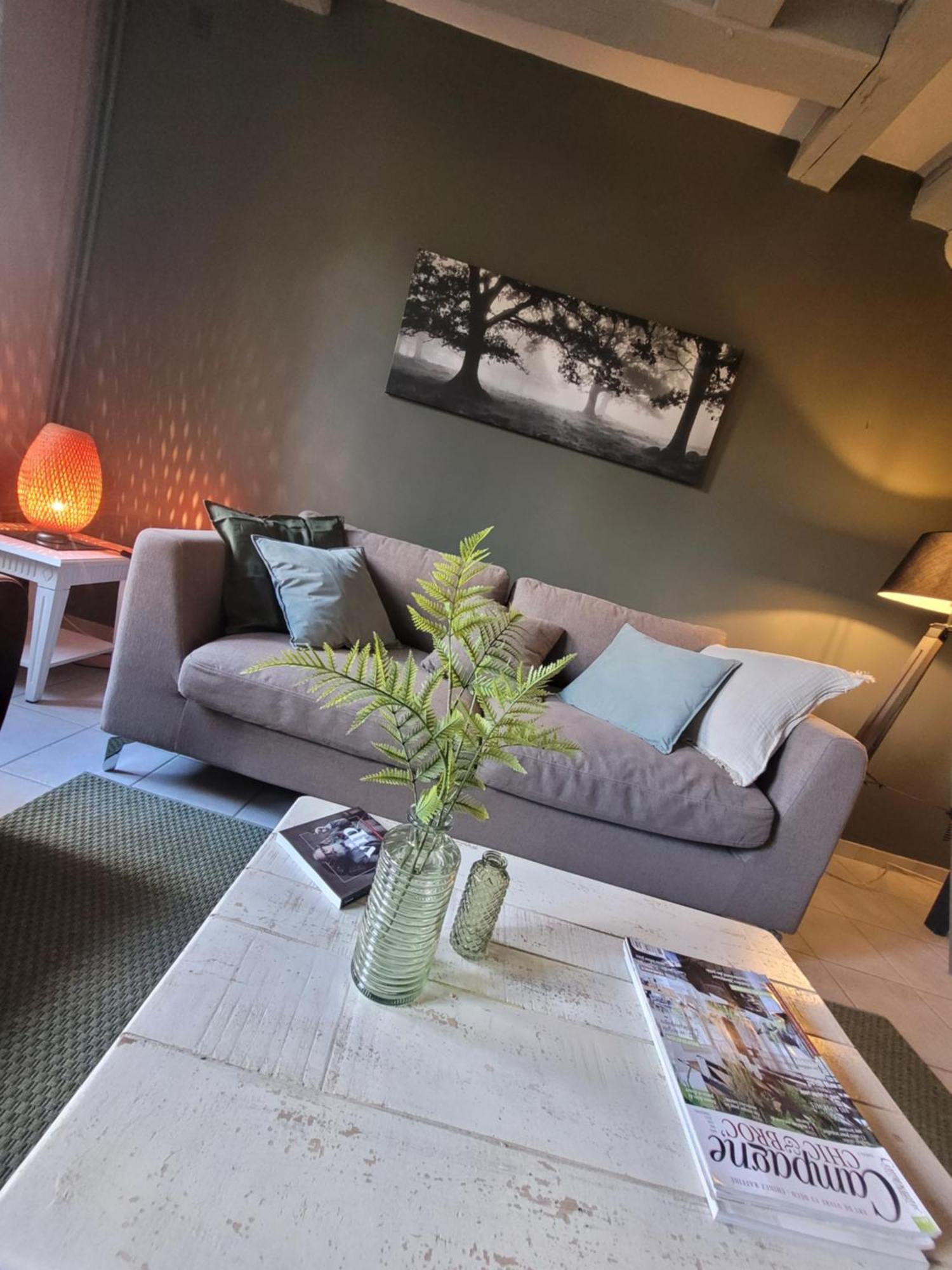 La Maison Aux Iris Poce-sur-Cisse ภายนอก รูปภาพ